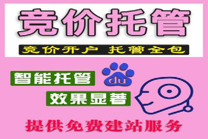 深度解读：SEM竞价托管成功案例
